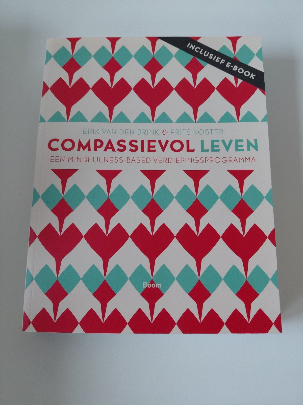 Frits Koster - Compassievol leven, Ophalen of Verzenden, Zo goed als nieuw, Frits Koster; Erik van den Brink