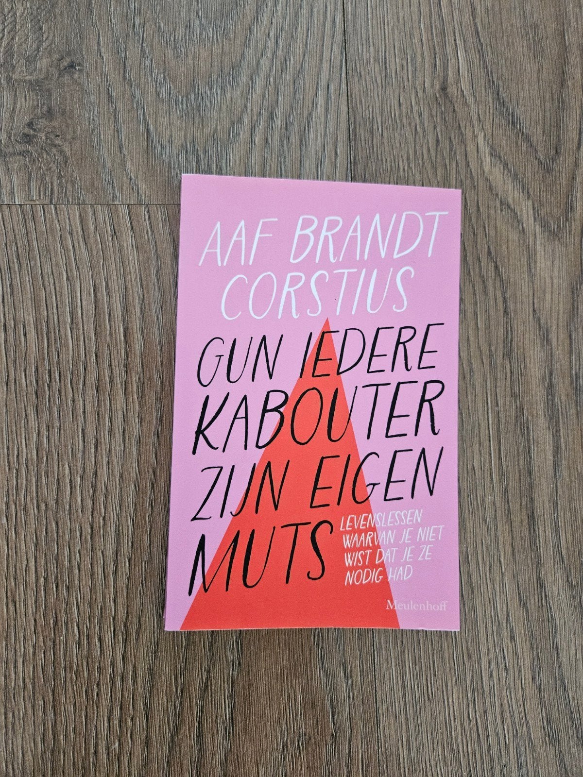 Aaf Brandt Corstius - Gun iedere kabouter zijn eigen muts, Ophalen of Verzenden, Zo goed als nieuw, Aaf Brandt Corstius, Nederland
