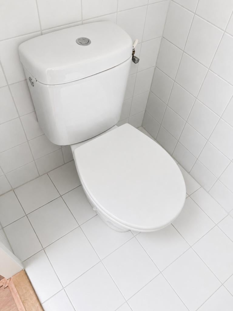 Gebruikt toilet met stortbak, Doe-het-zelf en Verbouw, Ophalen of Verzenden, Gebruikt, Toilet