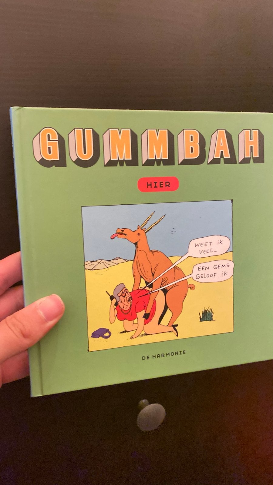 GUMMBAH - HIER stripboek, Eén stripboek, Ophalen of Verzenden, Zo goed als nieuw