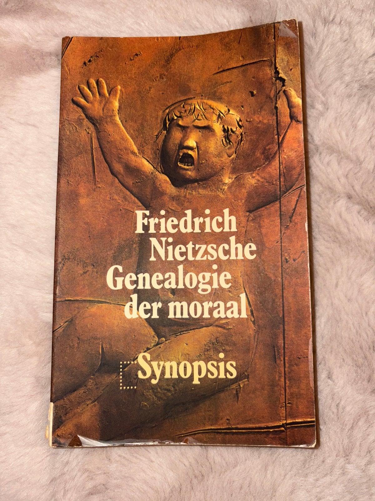 Friedrich Nietzsche - Genealogie der moraal (Synopsis), Boeken, Ophalen of Verzenden, Gelezen, Overige