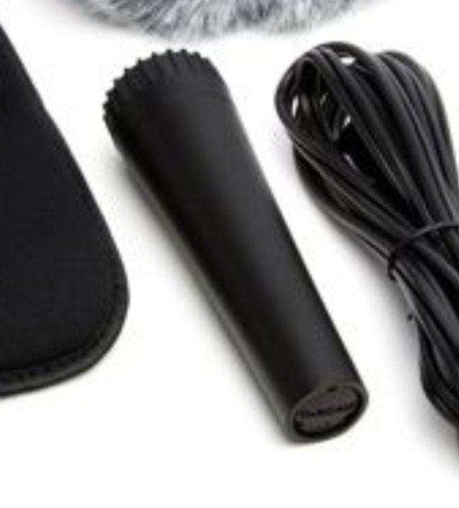 GEZOCHT: Tascam - Handheld / Grip, Muziek en Instrumenten, Ophalen of Verzenden, Zo goed als nieuw, Instrumentmicrofoon