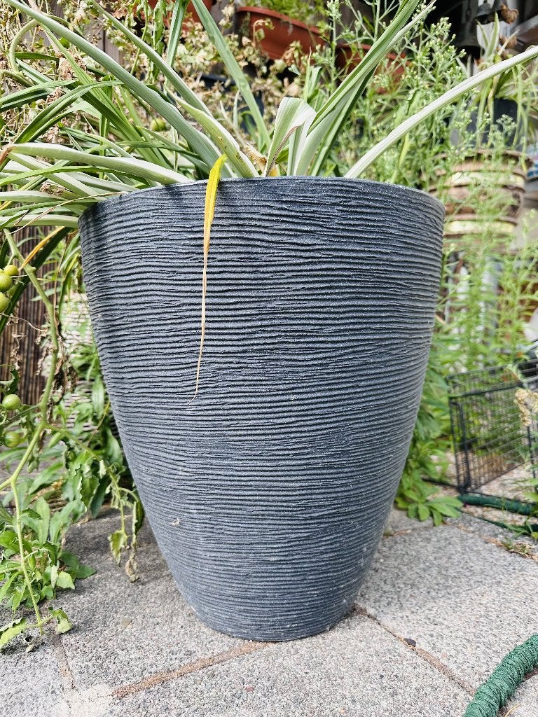 mooie plantpot grijs inclusief plant, Huis en Inrichting, Kamerplanten, Ophalen, In pot, Minder dan 100 cm, Bloeiende kamerplant