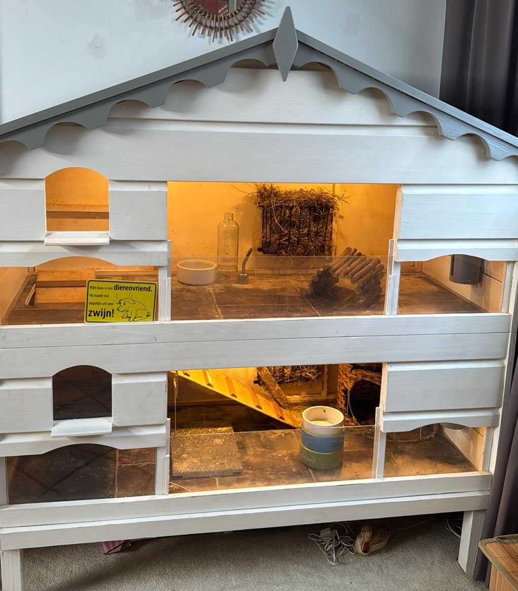 Cavia flat/hok, Dieren en Toebehoren, Ophalen, 90 cm of meer, Hok, Cavia