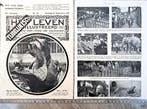 Artis 1917; 6 blz. Met de camera door artis, Verzenden, Voor 1940, Gebruikt, Dier