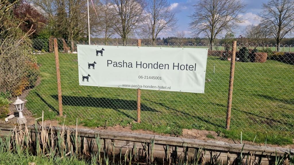 Hondenopvang Pasha hotel, Diensten en Vakmensen