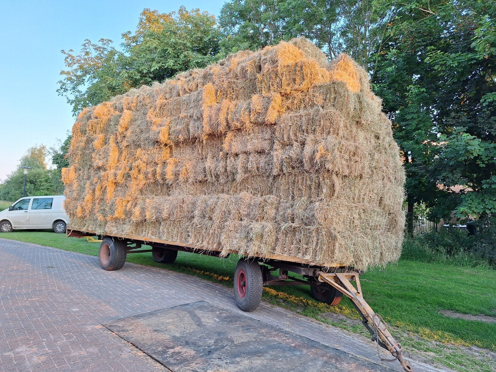 mooi paarden hooi, Ophalen of Verzenden