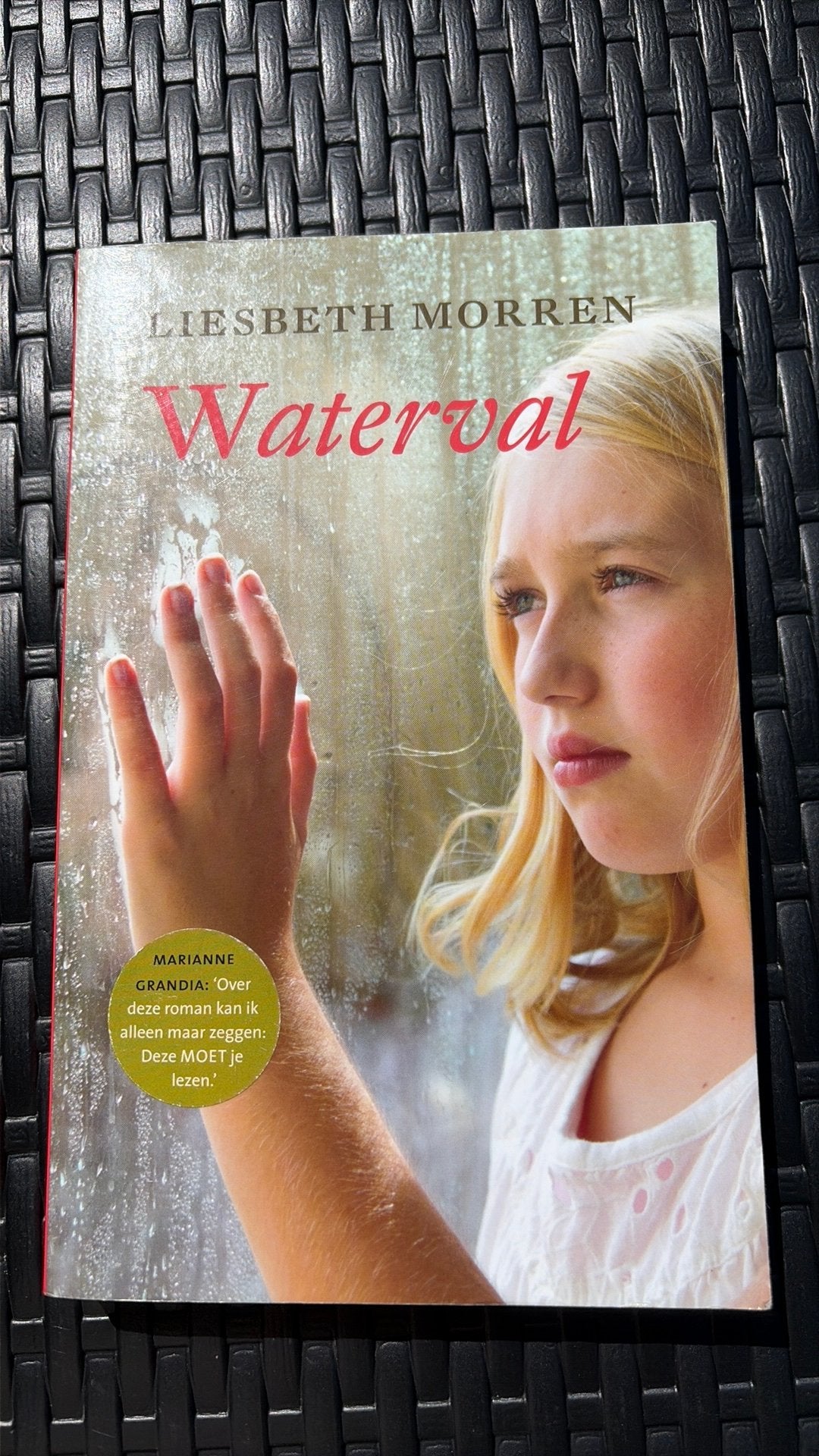 Liesbeth Morren - Waterval, Boeken, Ophalen of Verzenden, Zo goed als nieuw, Liesbeth Morren