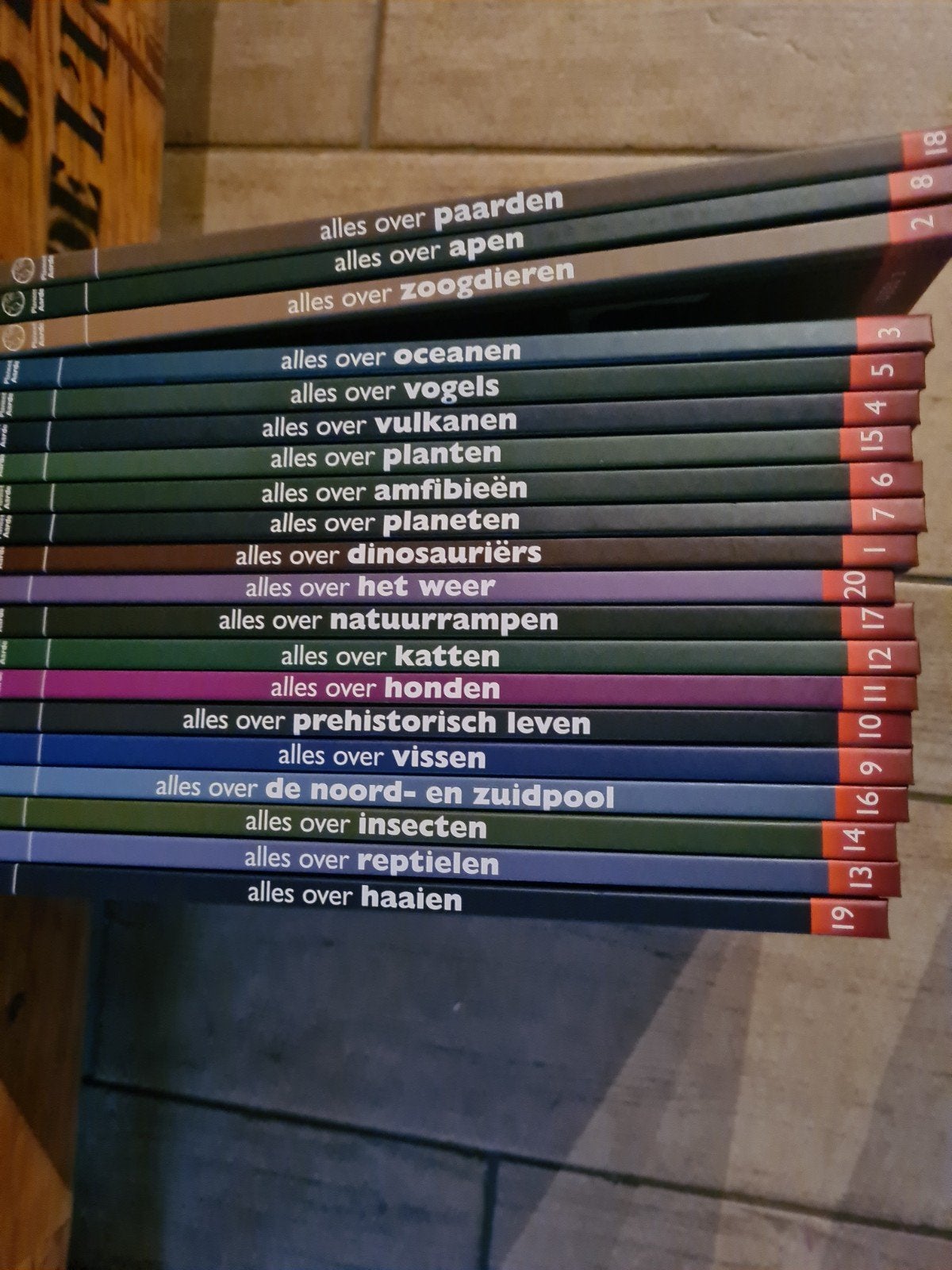 De Complete Gids Runen: Ontdek de Oude Wijsheid, Boeken, Ophalen of Verzenden, Gelezen