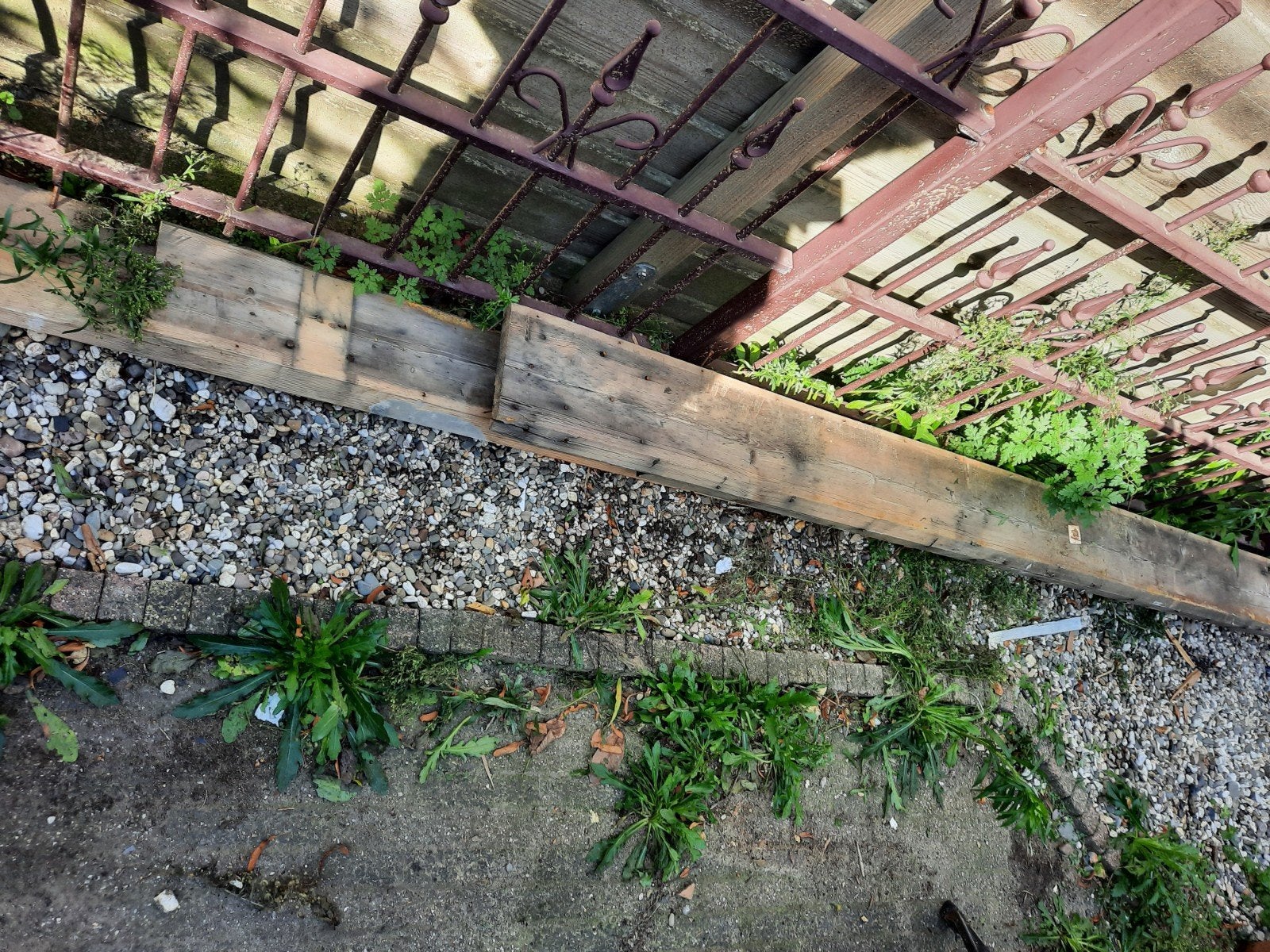 balken hout, Ophalen, Gebruikt, 250 cm of meer, Balken