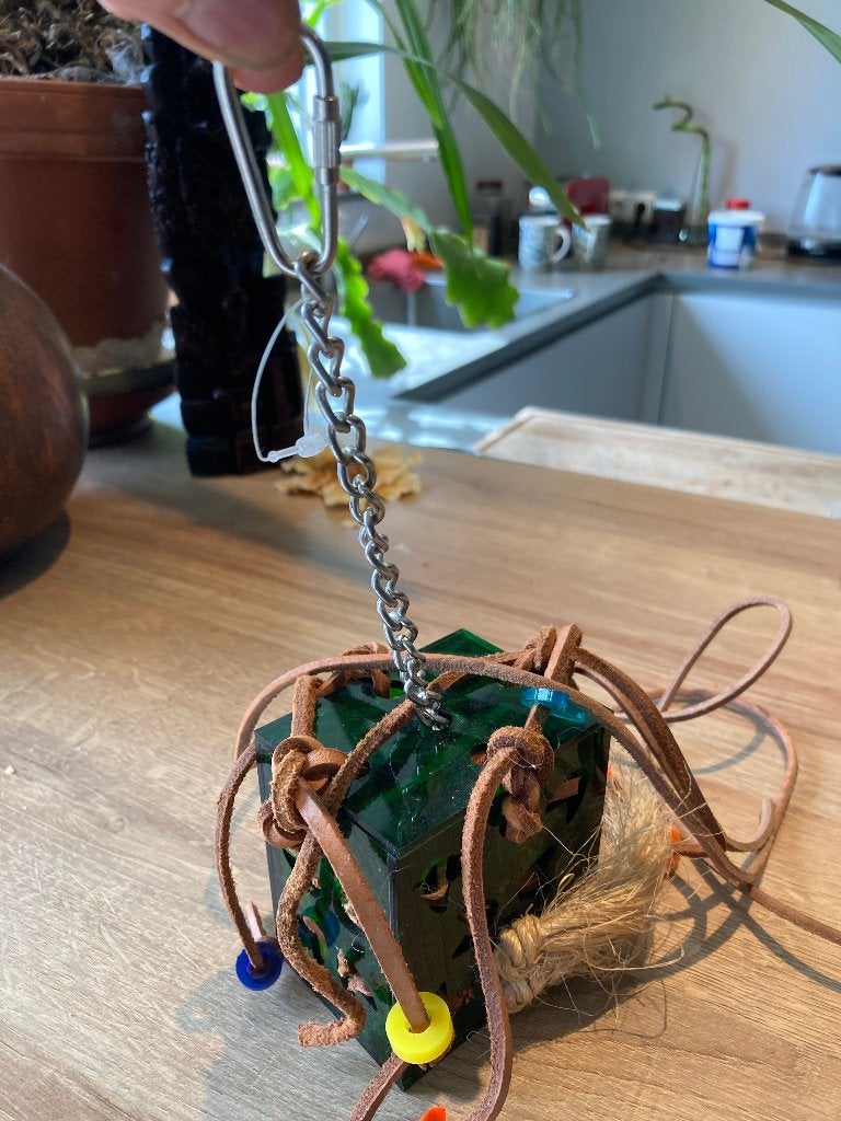 papegaai speelgoed, Mannelijk, Papegaai