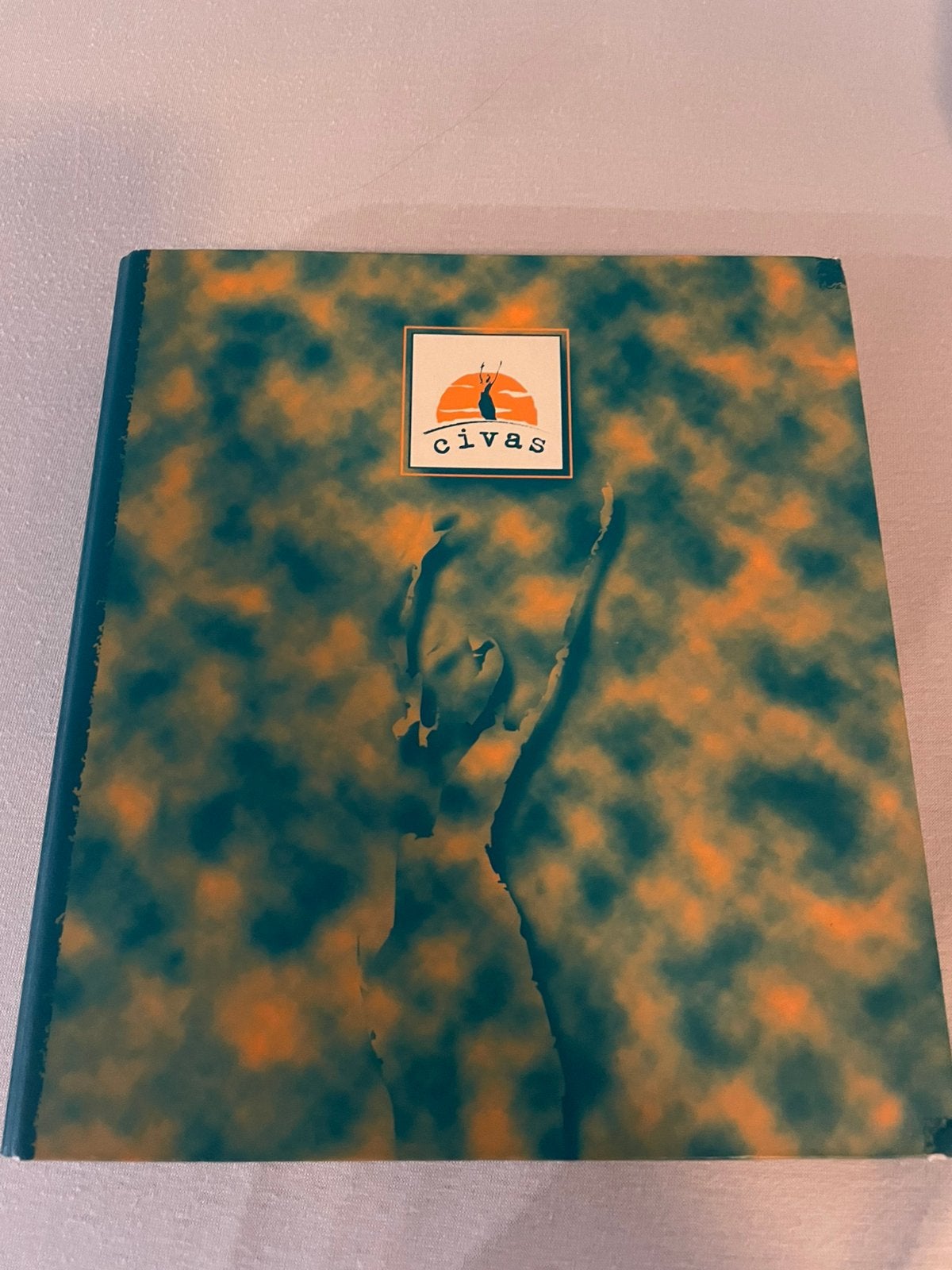 Cursus Civa holistische massage 2 mappen, Boeken, Ophalen of Verzenden, Alpha, Gelezen, Niet van toepassing
