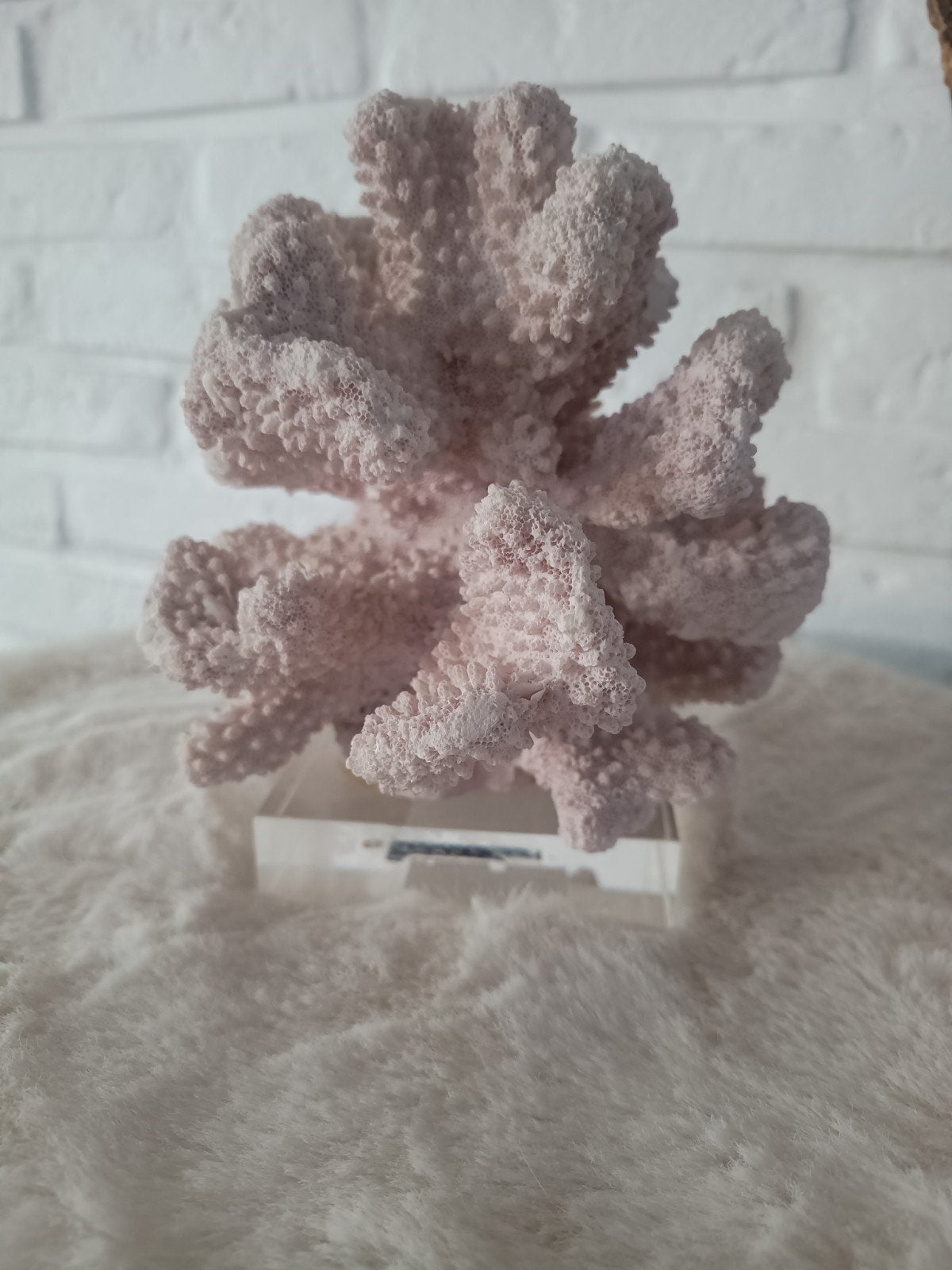 Decoratief koraal van kunsthars op standaard - Zara Home, Overige materialen, Roze, Ophalen of Verzenden, Zo goed als nieuw