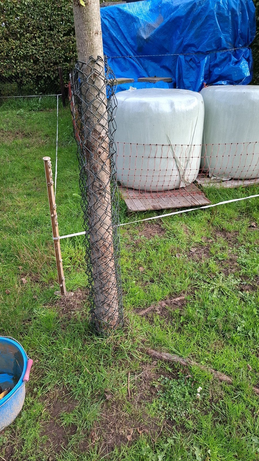 hooi, Dieren en Toebehoren, Ophalen of Verzenden, Vee
