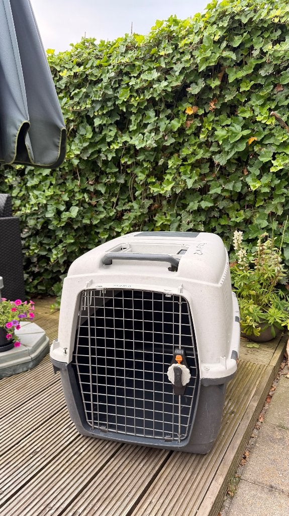 Honden transportbox, Ophalen, Gebruikt