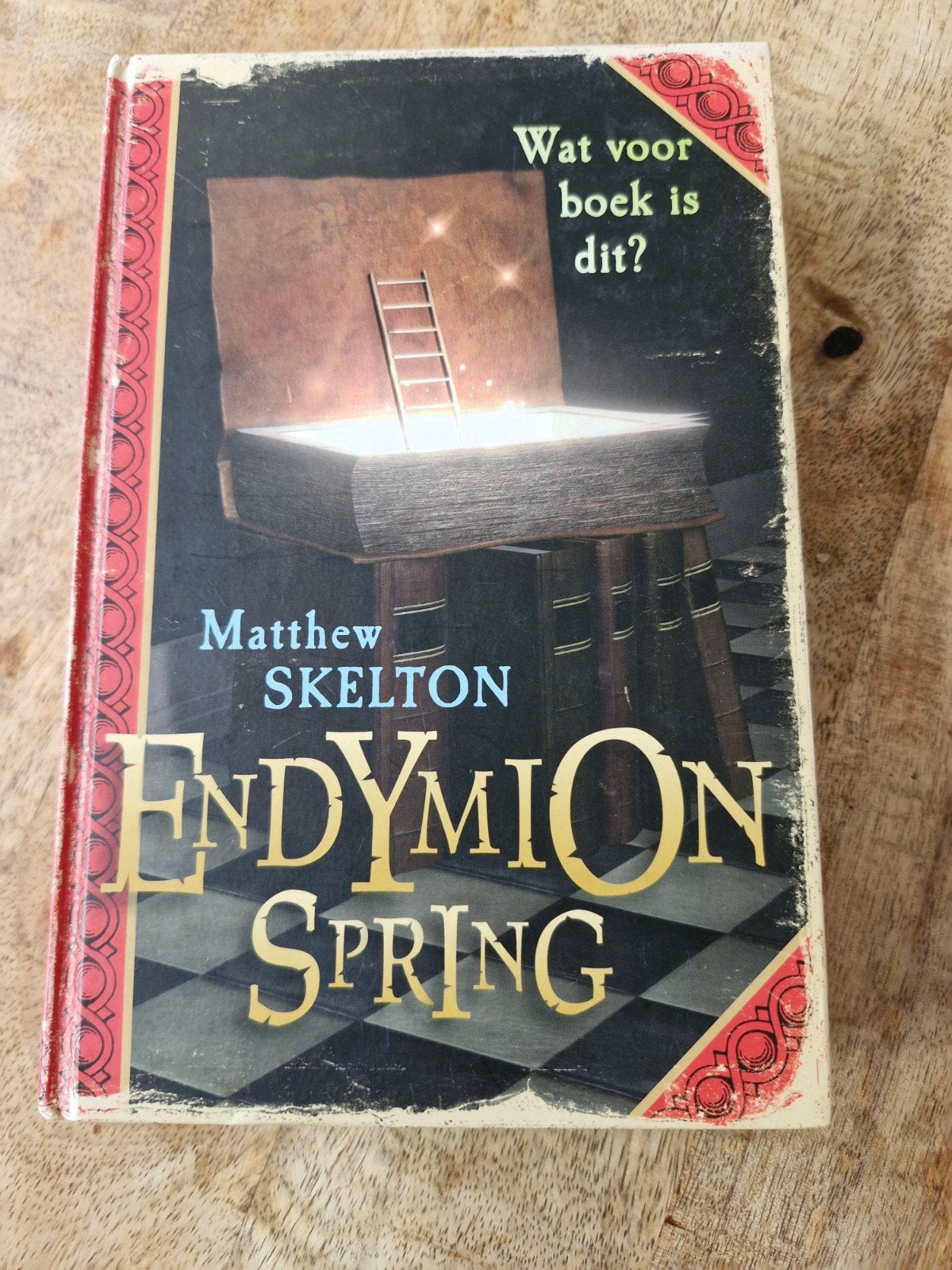 M. Skelton - Endymion Spring, Boeken, Ophalen of Verzenden, Zo goed als nieuw, M. Skelton