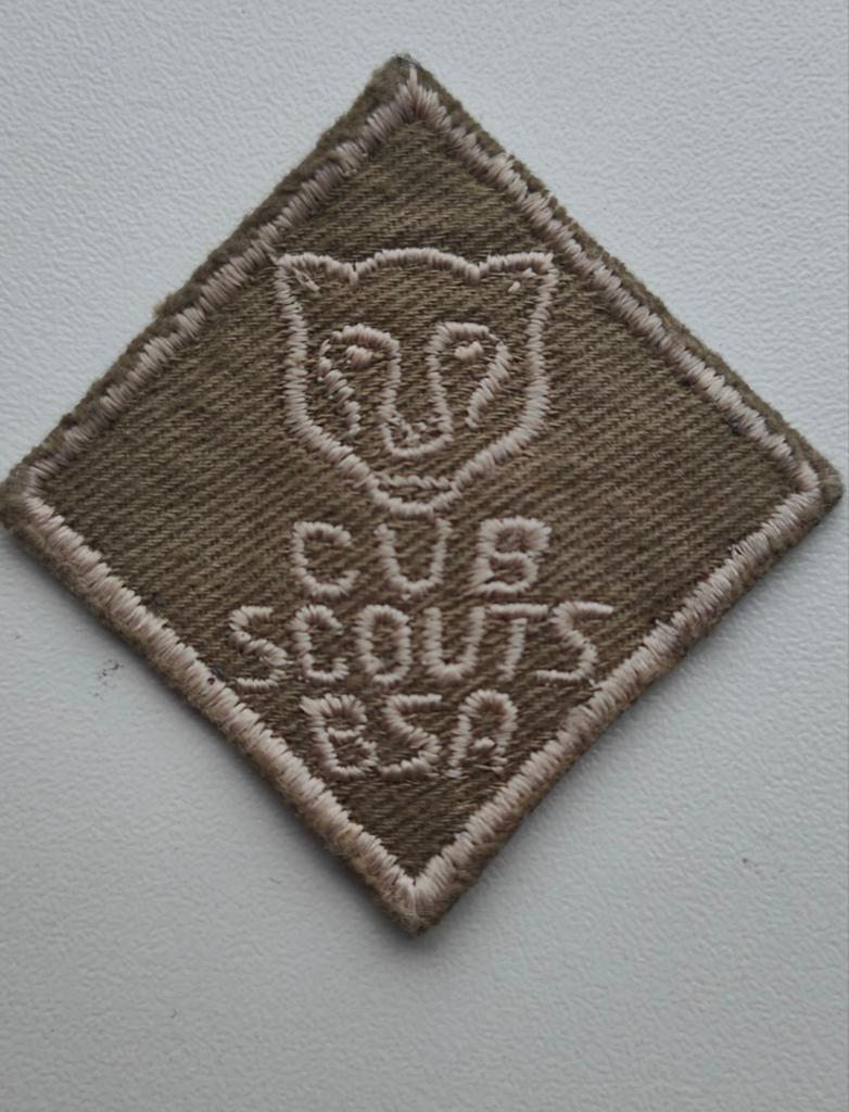 vintage Cub Scouts BSA embleem!, Ophalen of Verzenden, Zo goed als nieuw, Embleem, Speld of Insigne