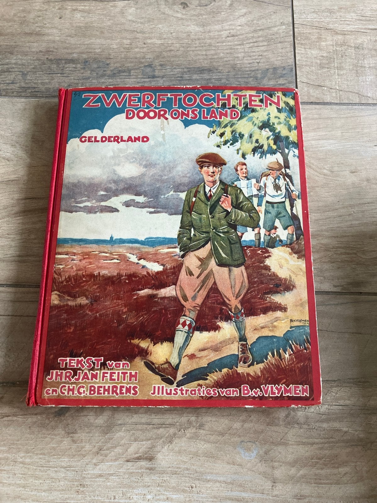 Zwerftochten door ons land - Gelderland (Plaatjesalbum), Ophalen of Verzenden, Gelezen, Plaatjesalbum