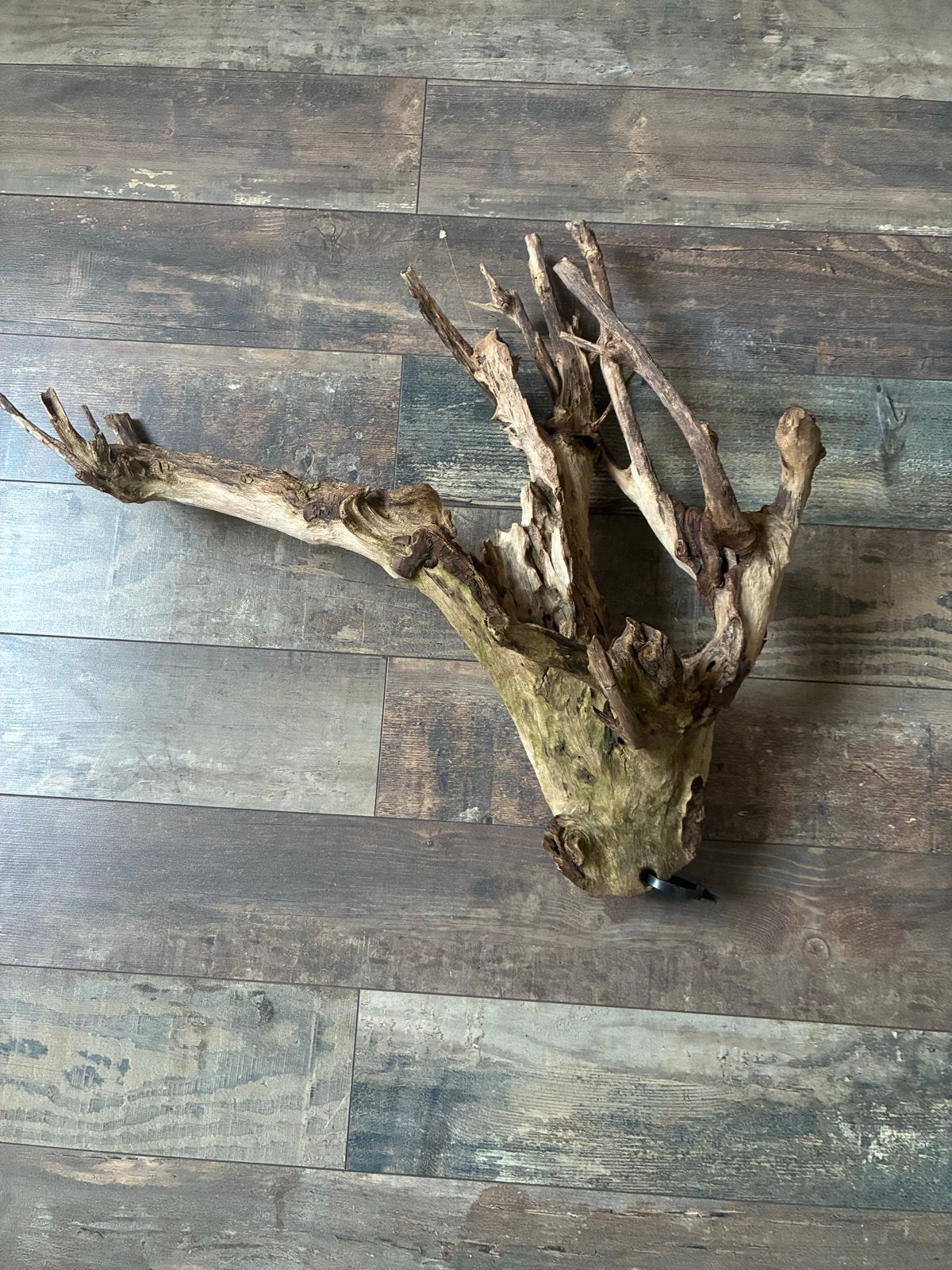 Aquarium hout, Ophalen, Decoratie