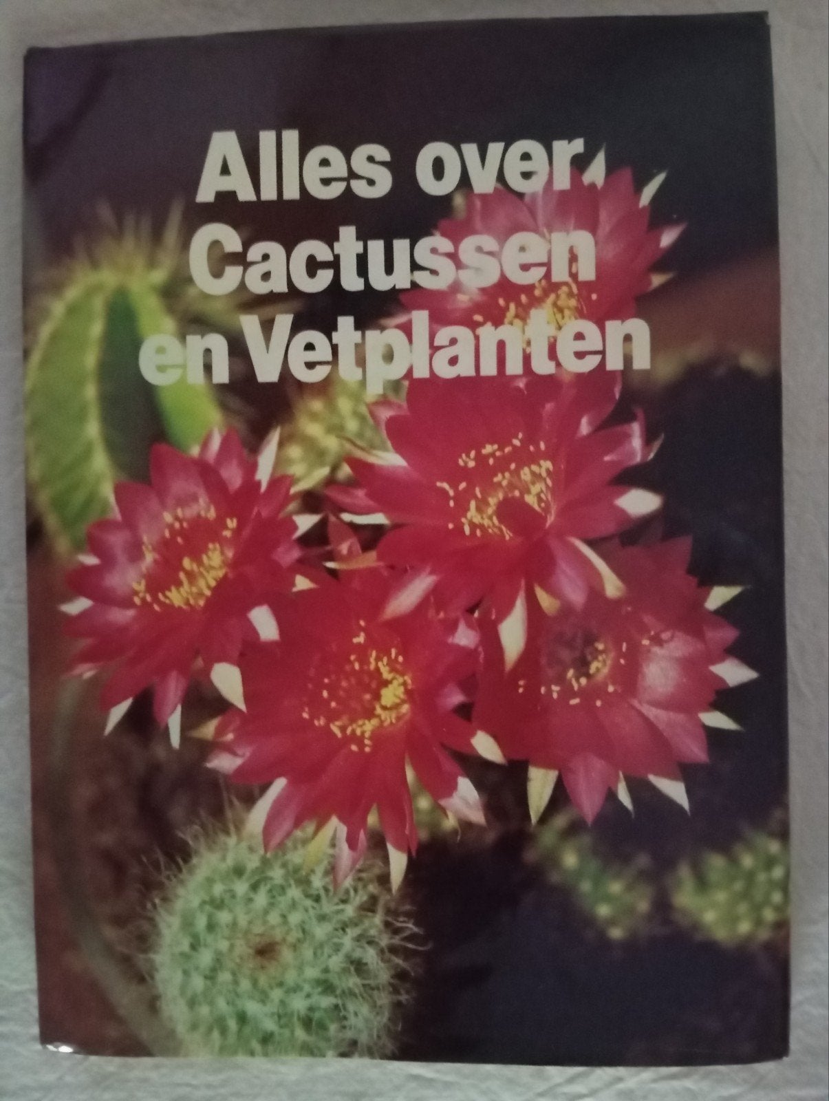 mooi vintage cactus en vetplantenboek, Ophalen of Verzenden