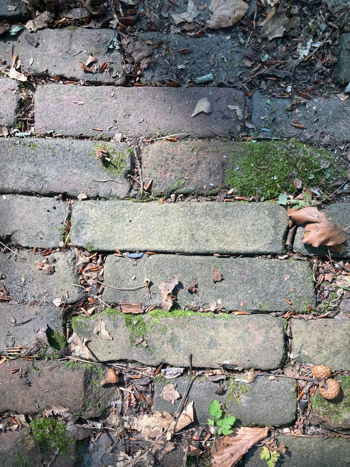 Antieke waaltjes, Tuin en Terras, Ophalen, Zo goed als nieuw, Beton, Klinkers