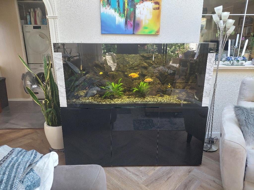 Aquarium, Dieren en Toebehoren, Vissen | Aquaria en Toebehoren, Ophalen, Gevuld zeewateraquarium, Zo goed als nieuw, Aquael