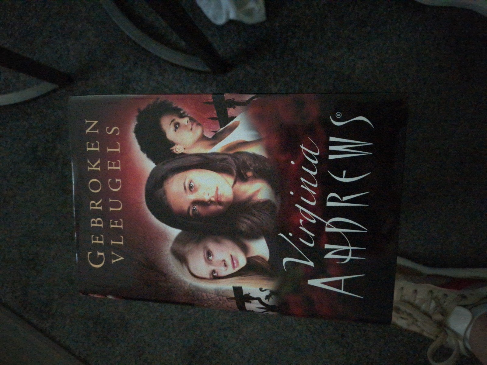 Gebroken Vleugels - Virginia Andrews, Ophalen of Verzenden, Gelezen, Virginia Andrews, Nederland