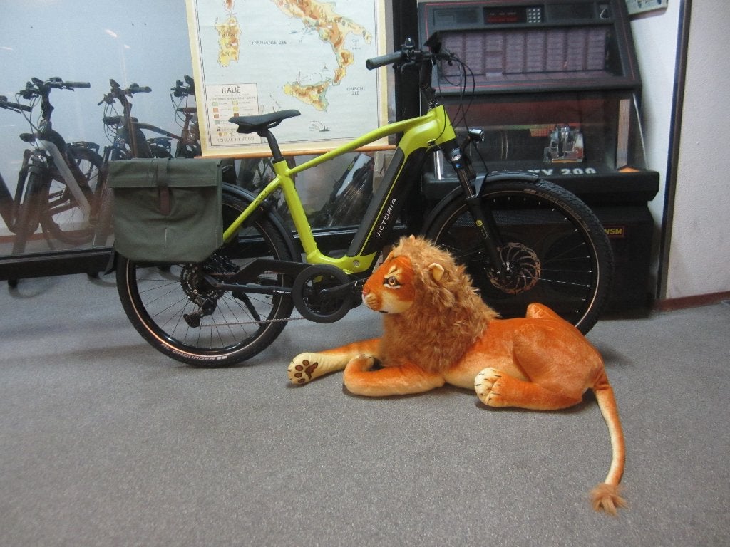 Victoria Safari limited edition     Nieuw, Vering, 10 tot 15 versnellingen, Nieuw, Ophalen