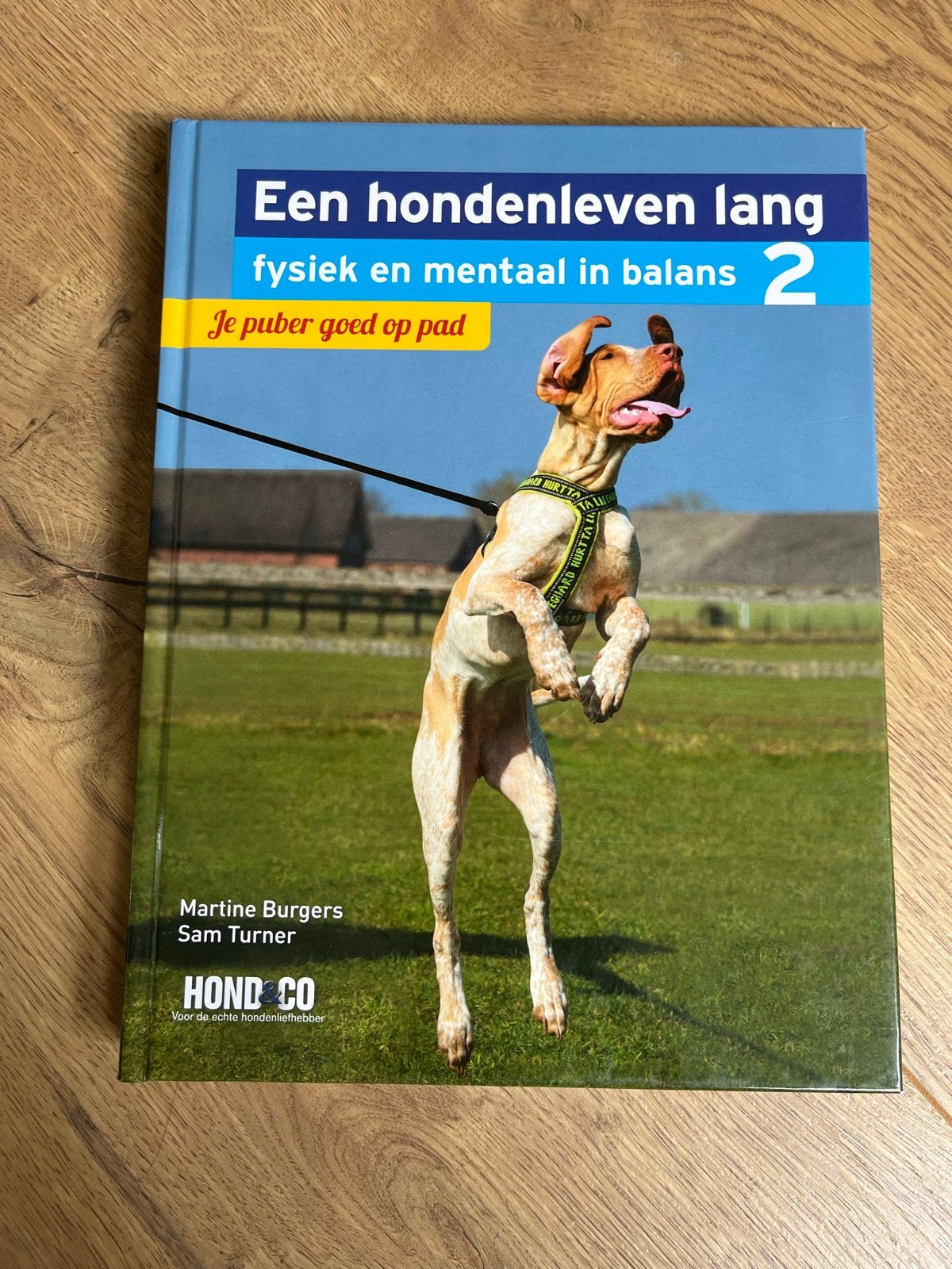 Een hondenleven lang fysiek en mentaal in balans 2, Ophalen of Verzenden, Zo goed als nieuw, Honden