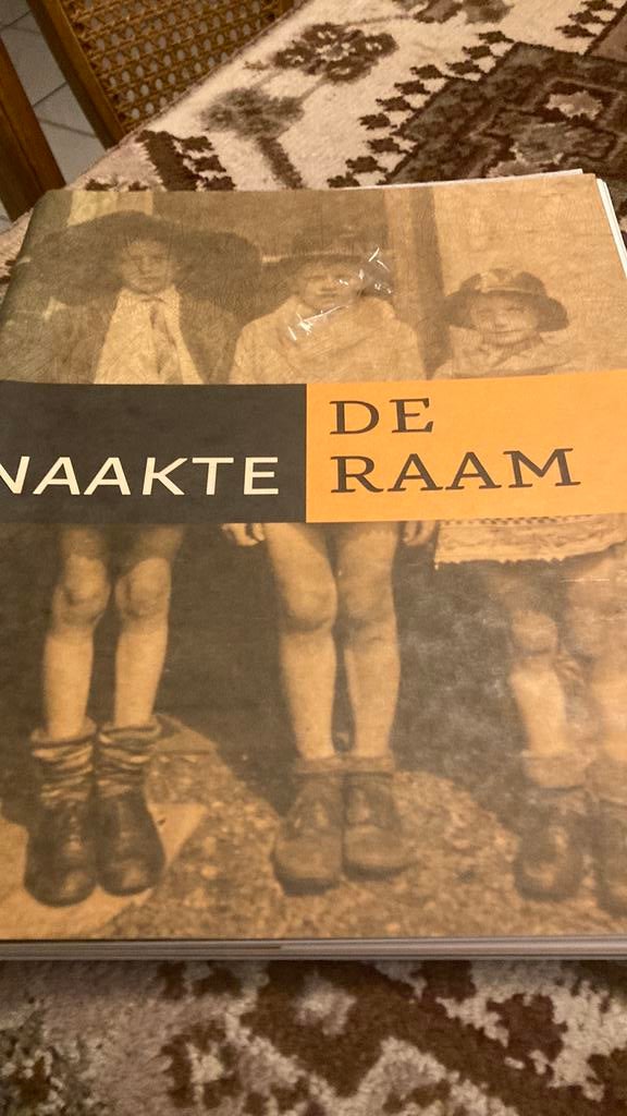 Gouda.   De Naakte Raam (Raamwijk), Boeken, Ophalen of Verzenden, Zo goed als nieuw