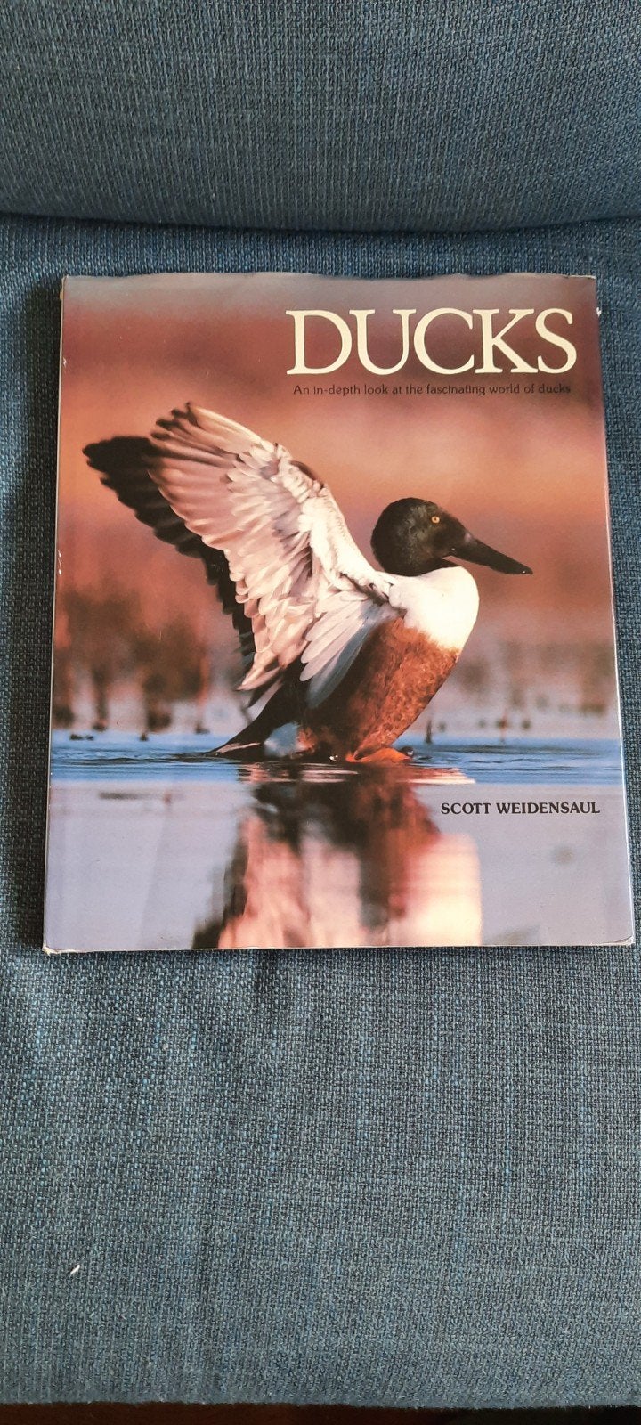 Ducks.Engelstalig., Scott Weidensaul, Nieuw, Ophalen of Verzenden, Vogels