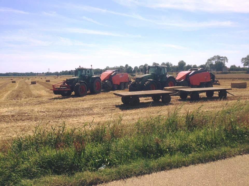 gehakseld graszaadhooi, Dieren en Toebehoren, Ophalen of Verzenden, Vee