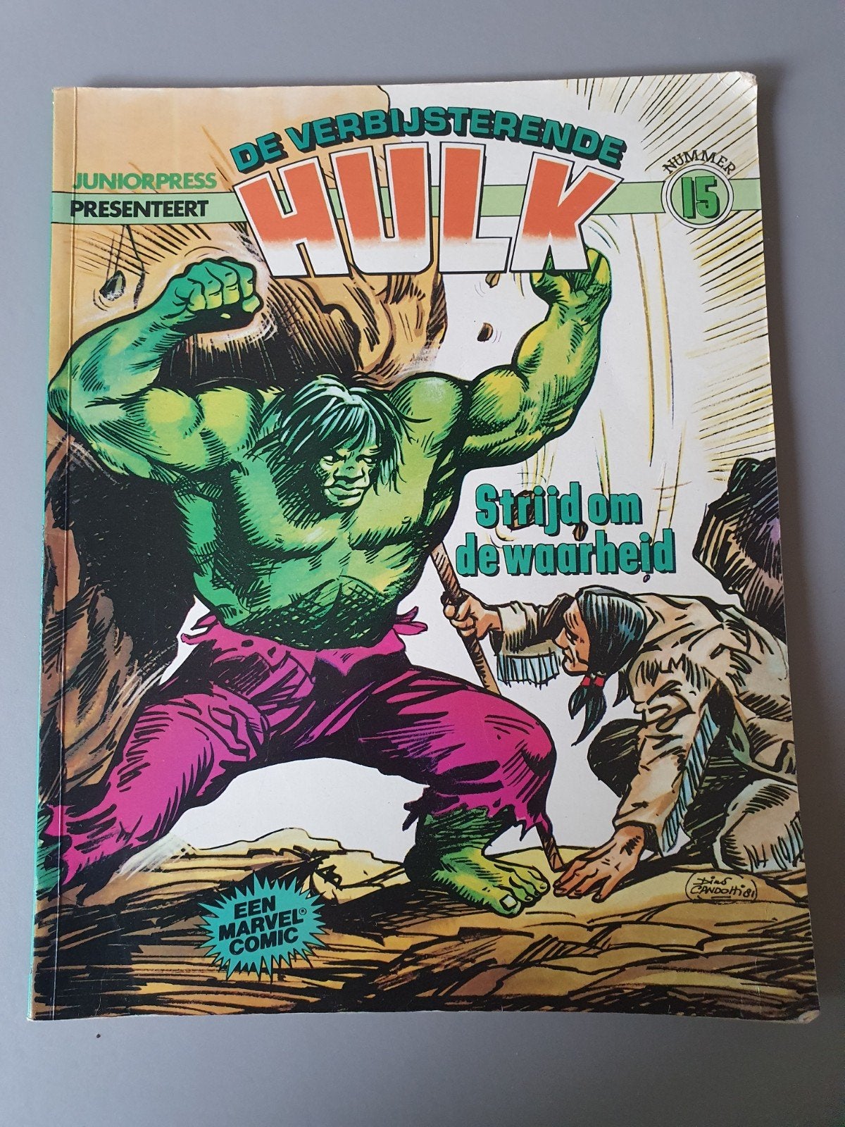 De Verbijsterende Hulk - Nummer 15 (Juniorpress), Boeken, Amerika, Stan Lee, Ophalen of Verzenden, Gelezen