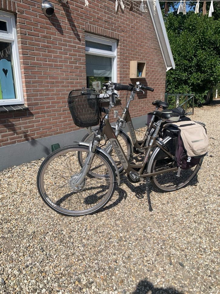 Giant Twist Go Double Power elektrische fiets, Ophalen, Gebruikt, Giant, 51 tot 55 cm
