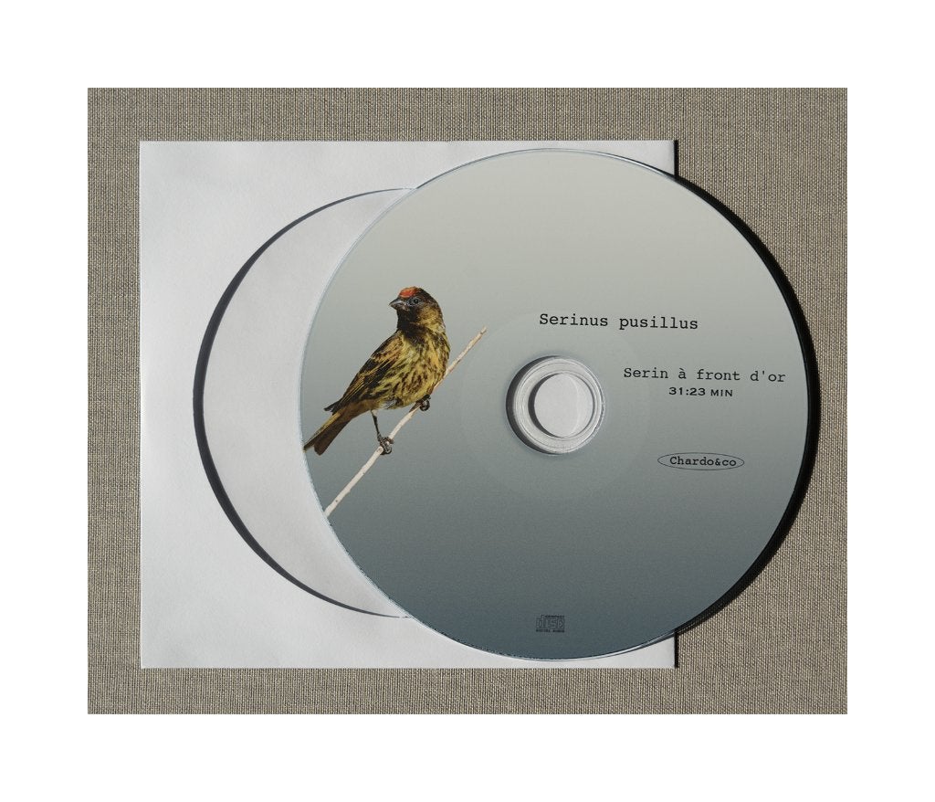 Roodvoorhoofdkanarie, Dieren en Toebehoren, Mannelijk, Tropenvogel, Geringd