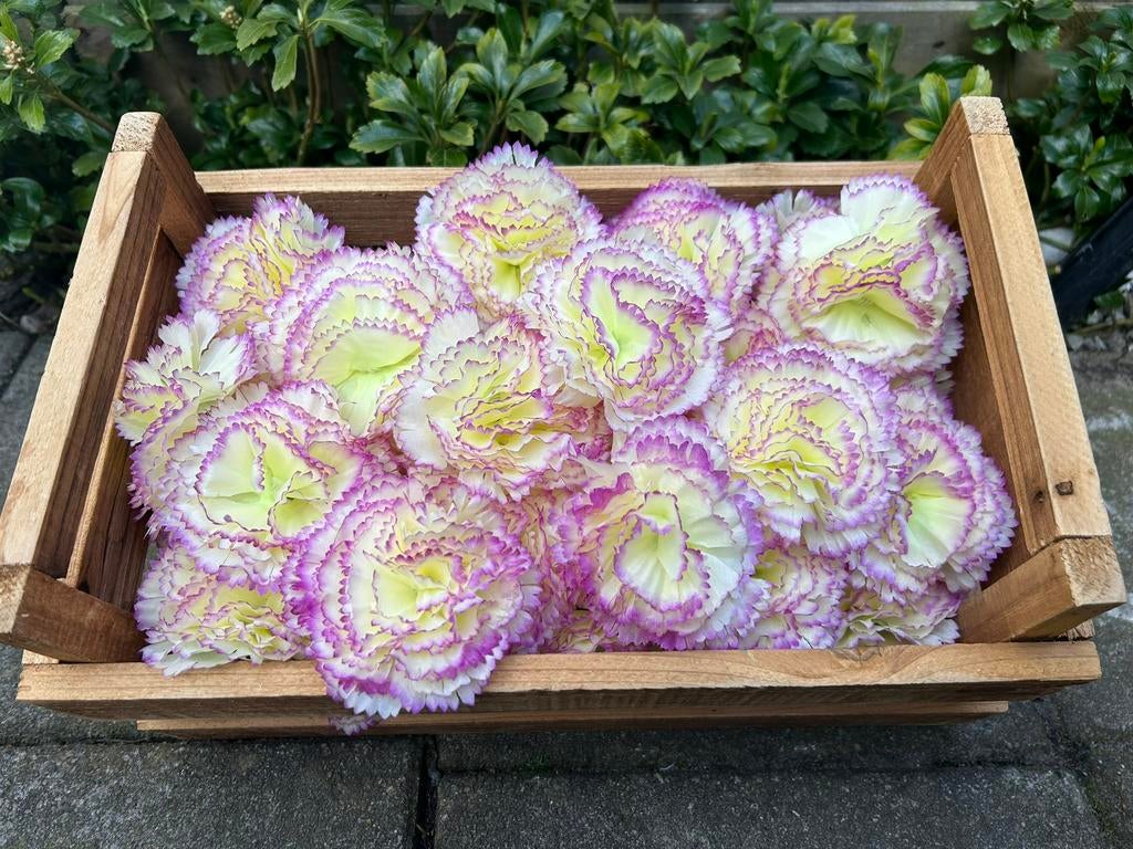 Kunstbloemen partij handel 135x trouwerij bruiloft decoratie, Overige kleuren, Info@rodebeagle.nl, Rode Beagle kunstbloemen, Nieuw