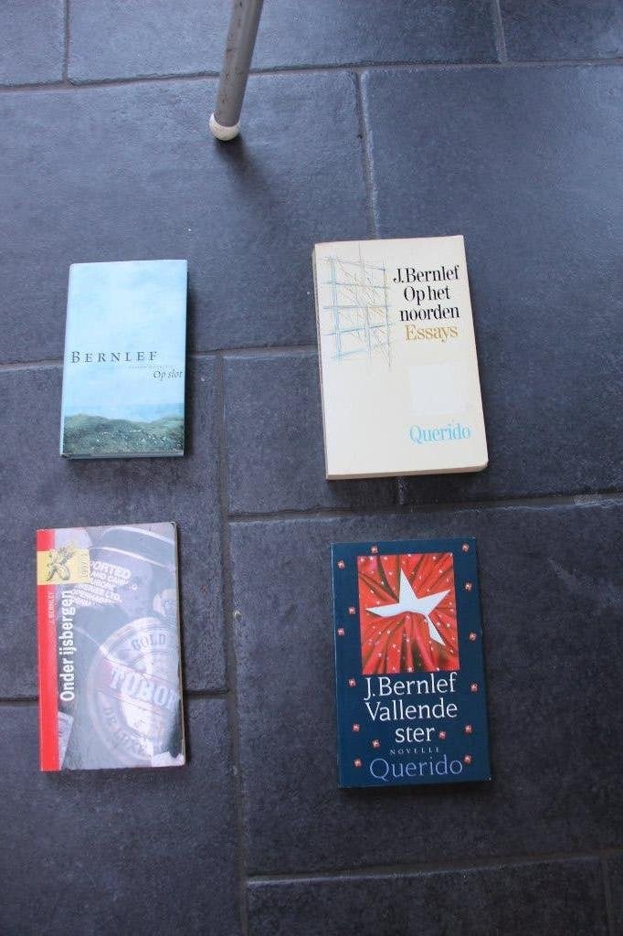 Bernlef, Boeken, Ophalen of Verzenden, Gelezen, J. Bernlef, Nederland