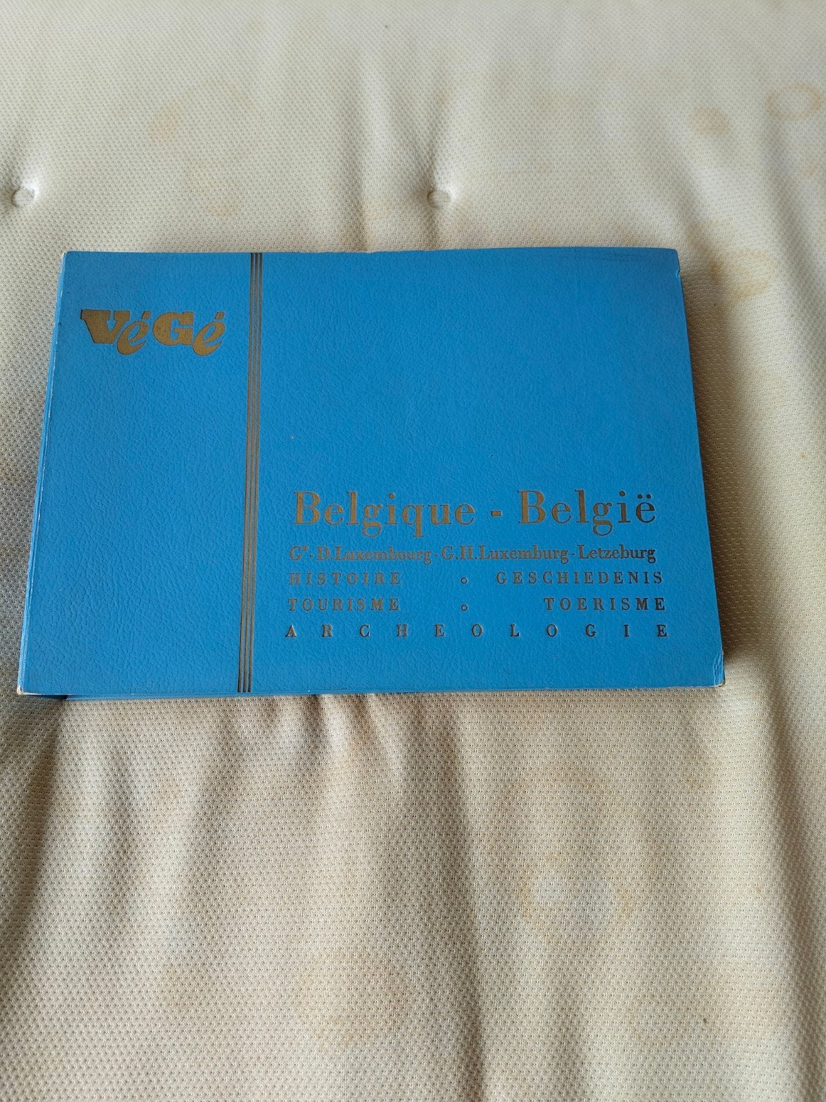 Végé chromo plaatjesalbum 'Belgique', Verzenden, Gelezen, Plaatjesalbum