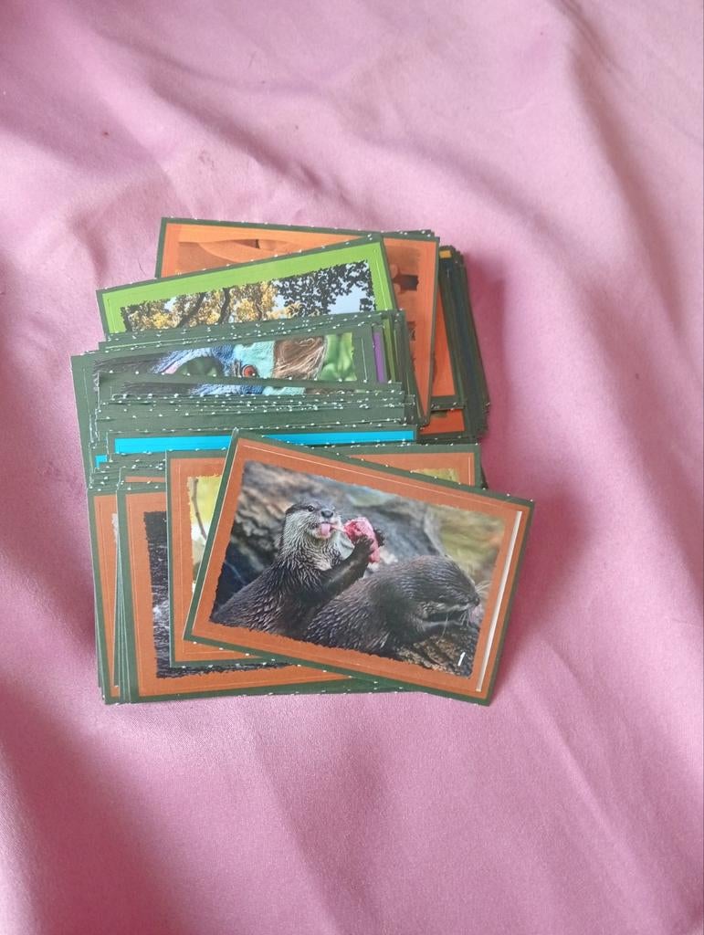 Deka artis  stickers, Dekamarkt, Ophalen of Verzenden