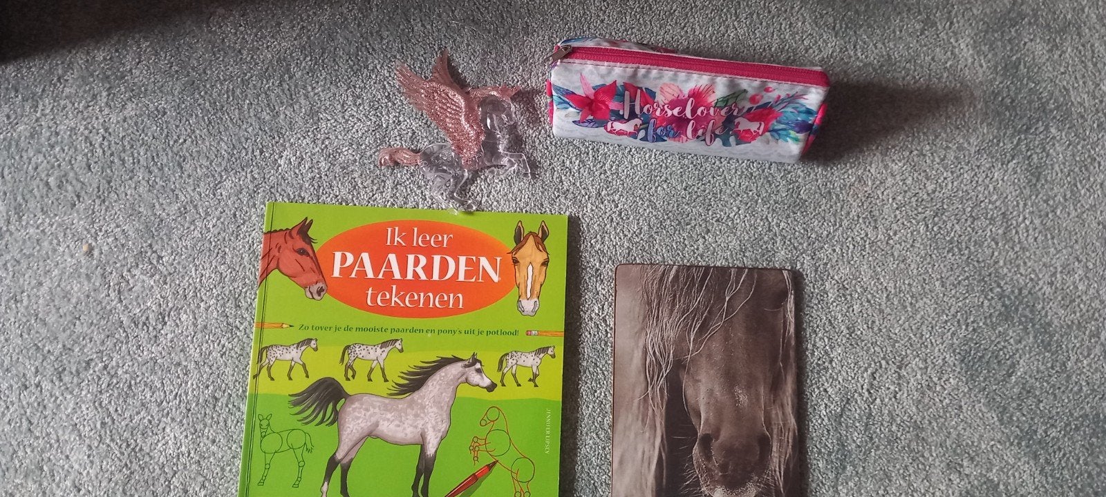 Leuke paarden accesoires., Ophalen of Verzenden