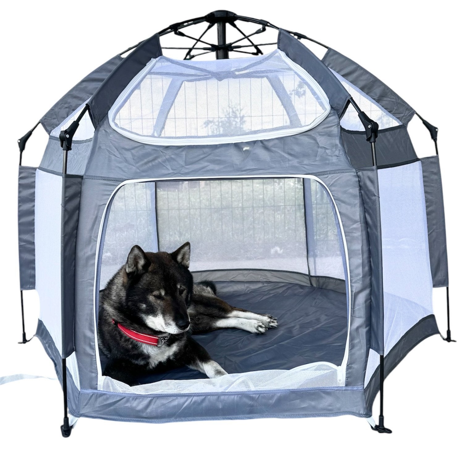 Inklap bare tent hond binnen 30sec!, Ophalen of Verzenden, Nieuw