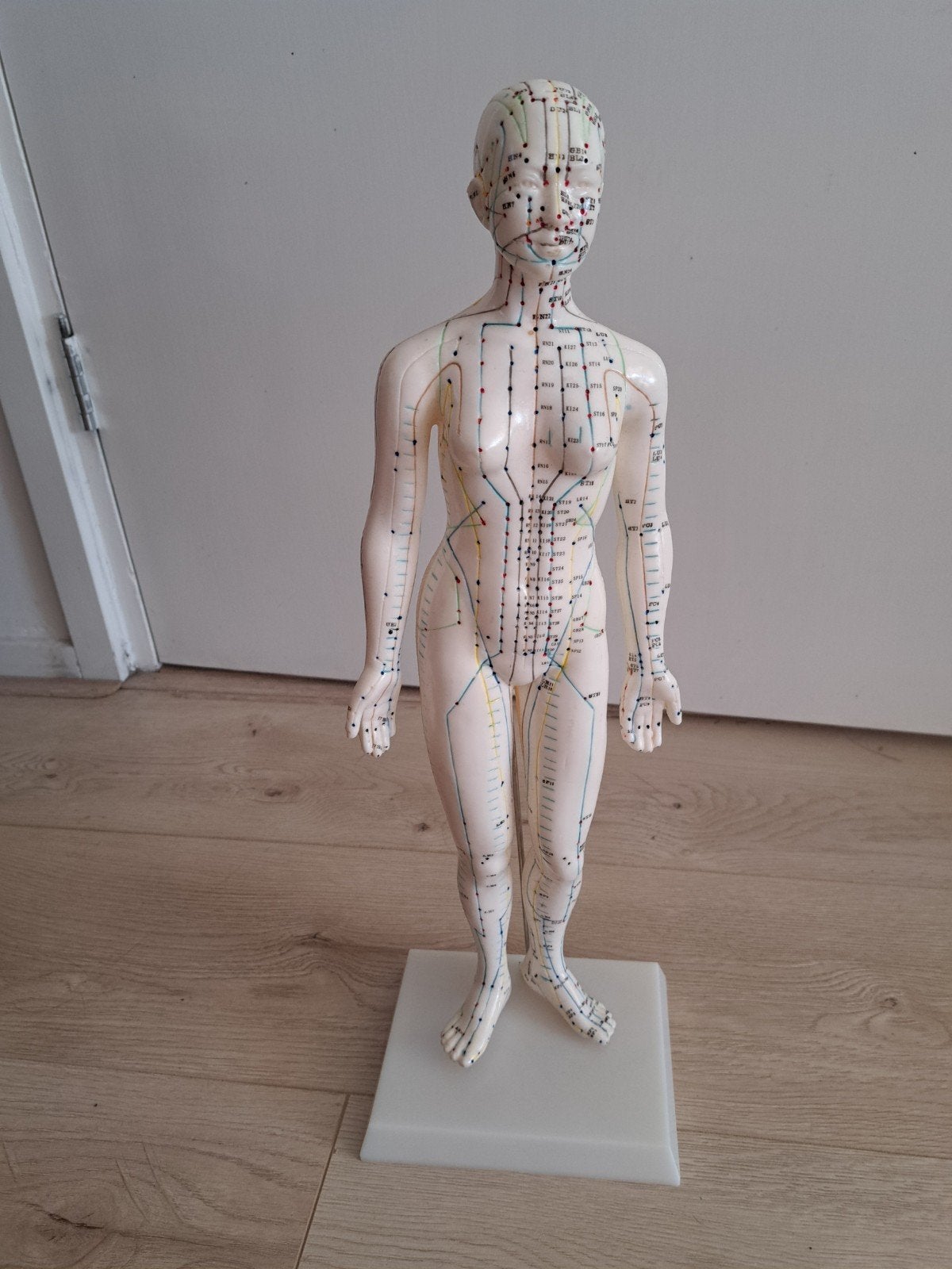 Acupunctuur pop, meridiaan model, Ophalen of Verzenden, Zo goed als nieuw