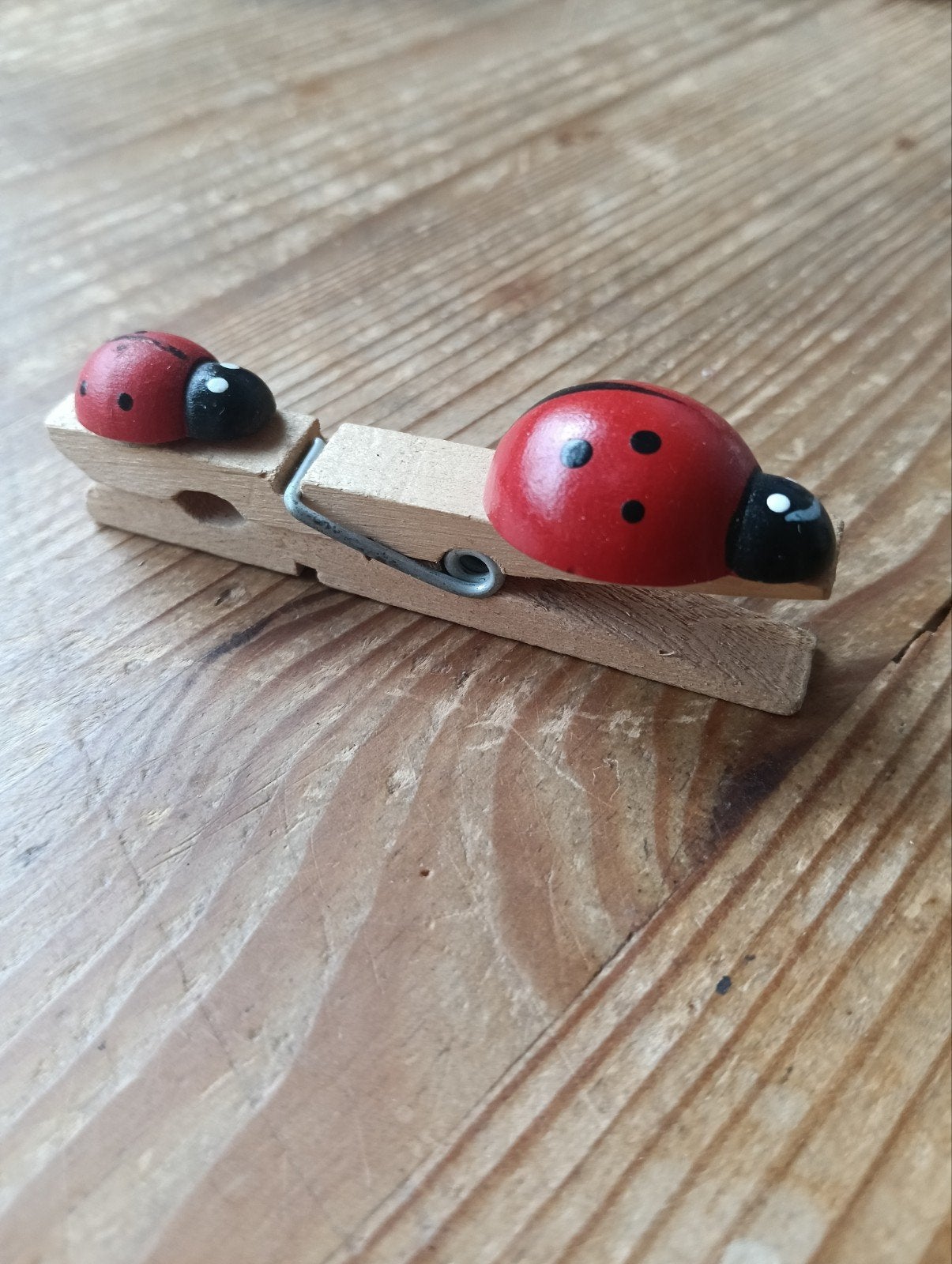 Leuke wasknijper met lieveheersbeestjes decoratie, Ophalen of Verzenden, Gebruikt