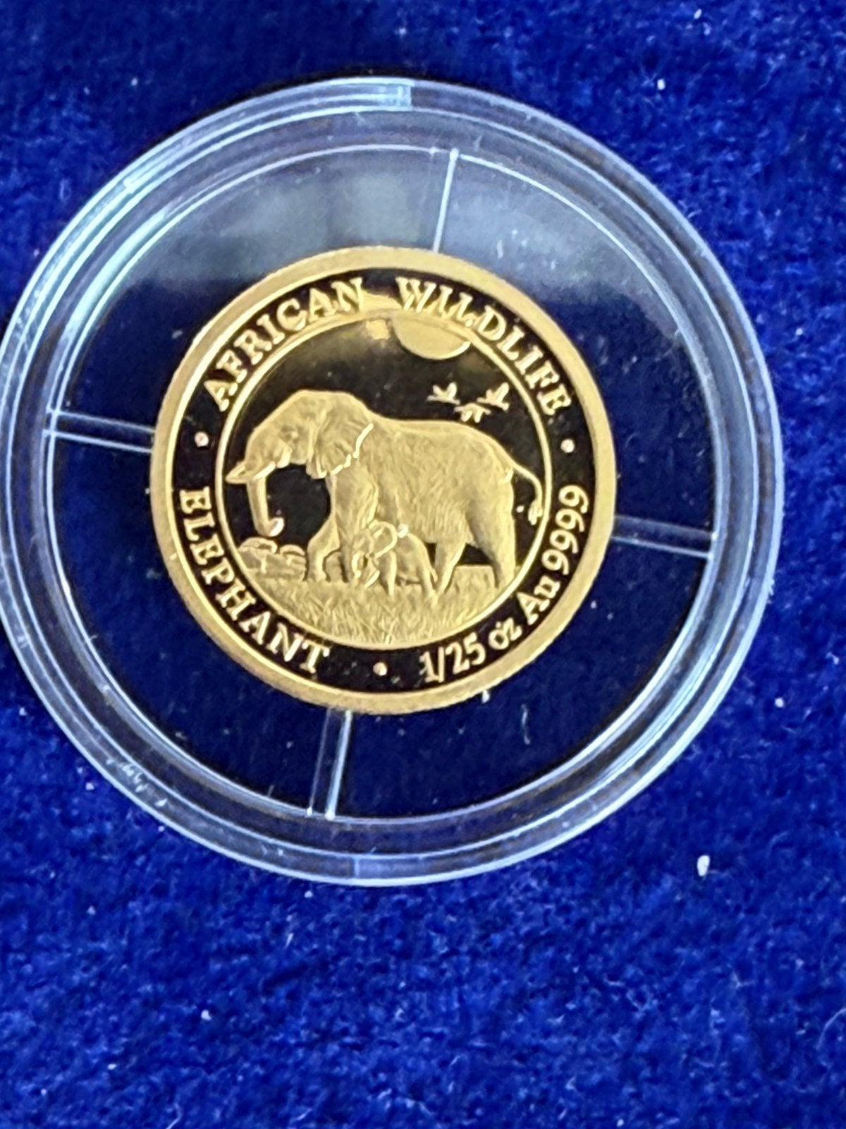 Som olifant 1/25 oz goud in capsule, Postzegels en Munten, Ophalen of Verzenden, Goud