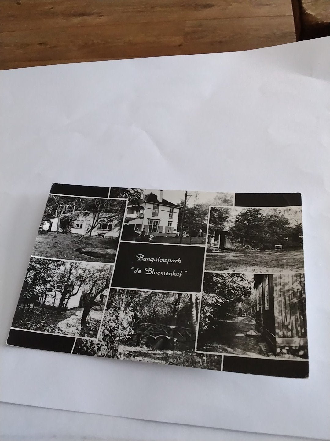 Oude ansichtkaart Bungalowpark "De Bloemenhof" Soest, Verzamelen, Ansichtkaarten | Nederland, Ophalen of Verzenden, 1940 tot 1960