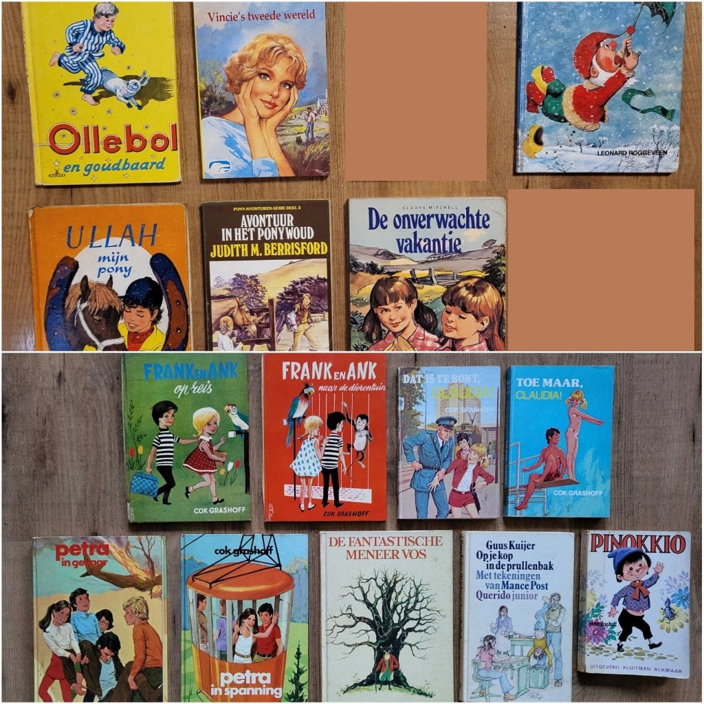 Boeken jeugd (hele set: 12 euro. Per stuk: zie advertentie), Ophalen, Gelezen, Fictie algemeen