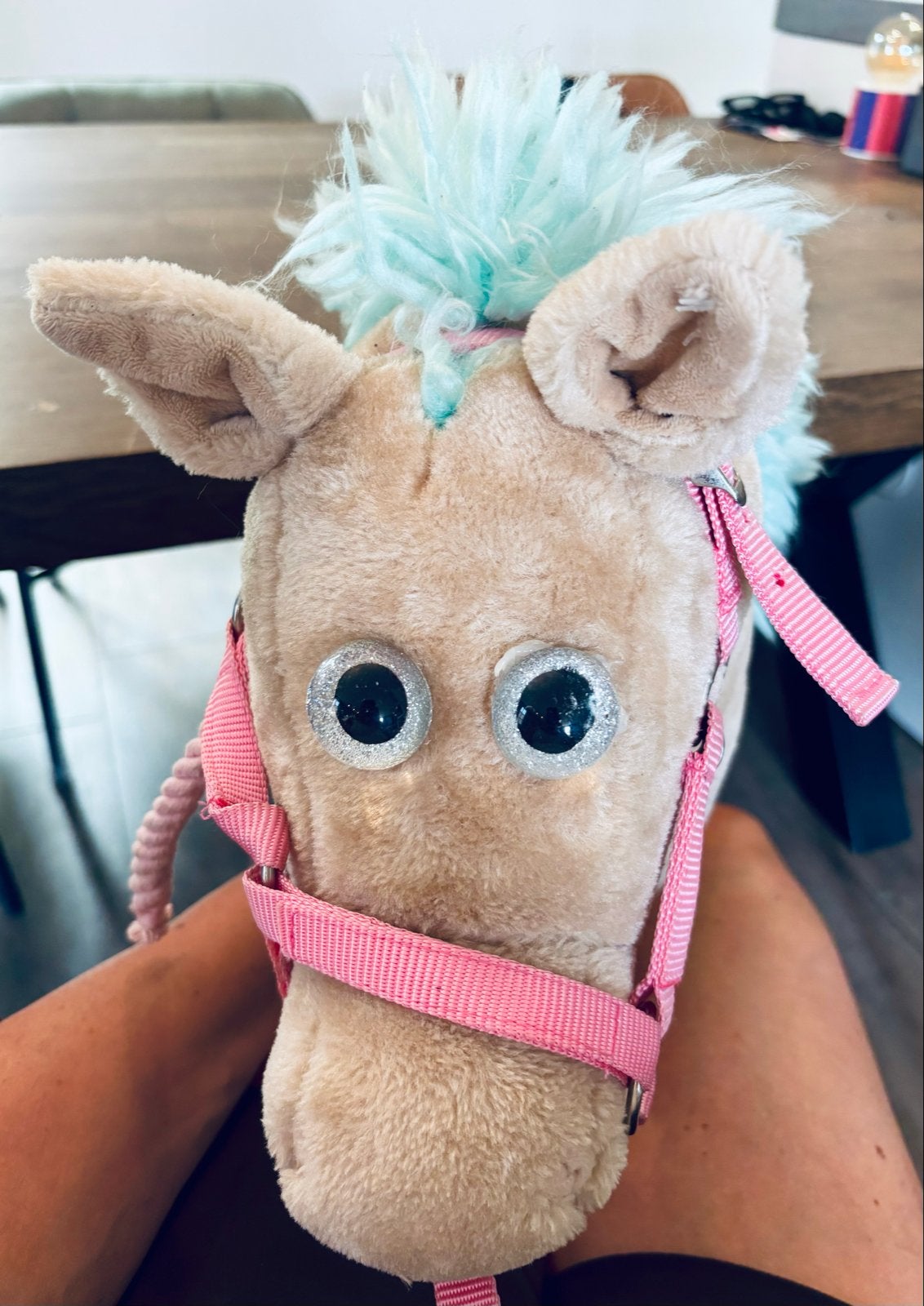 Hobbyhorse Stokpaardje incl. halster met touw (handmade), Ophalen, Zo goed als nieuw, Jongen of Meisje
