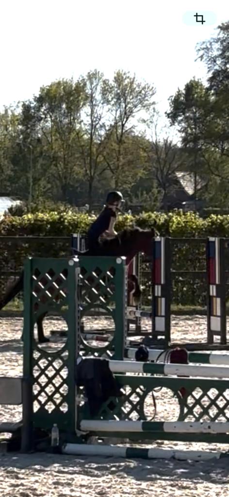 Bijrijder aangeboden/ bijrijd paard pony gezocht, Tickets en Kaartjes, Drie personen of meer, Ticket of Toegangskaart