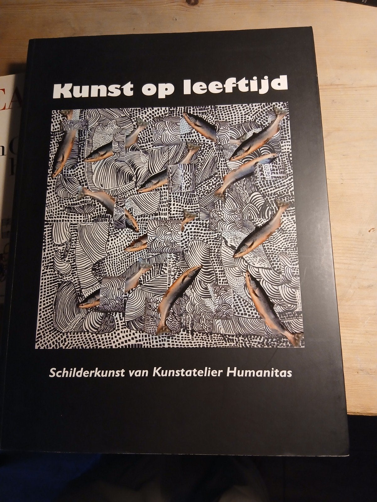 Kunst op leeftijd: Schilder- en Tekenkunst Humanitas, Boeken, Kunst en Cultuur | Beeldend, Ophalen of Verzenden, Zo goed als nieuw