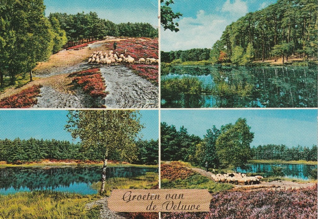 Groeten van de Veluwe 1987, Ophalen of Verzenden, 1980 tot heden, Gelopen, Gelderland